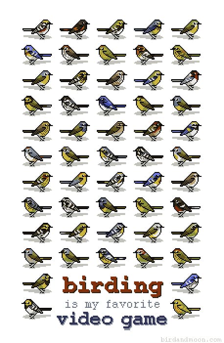 Birding Video Game