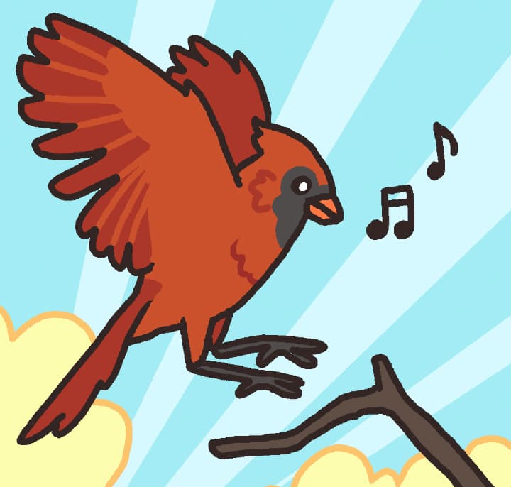 Wayward Birds Explained
